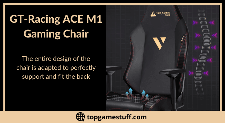 Ergonomic Ace M1 gaming chair